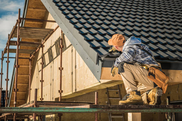Best Roof Moss and Algae Removal  in Jackson, OH